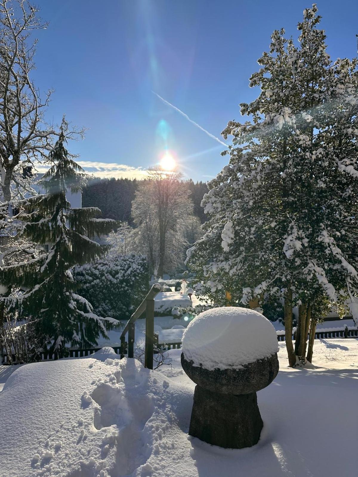 Boutique Hotel Dorer Schönwalde Екстериор снимка